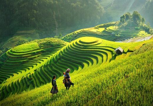 Tổng Hợp Kinh Nghiệm Đặt Tour Du Lịch Mộc Châu 2 Ngày 1 Đêm