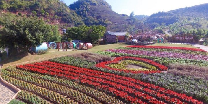 Thời Điểm Tuyệt Đẹp Cho Chuyến Đi Du Lịch Mộc Châu 2 Ngày 1 Đêm