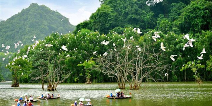 Tổng Hợp Chi Phí Cần Thiết Khi Du Lịch Thung Nham 2 Ngày 1 Đêm