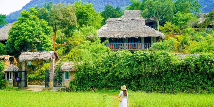 Những Hoạt Động Thú Vị Không Nên Bỏ Qua Khi Du Lịch Mai Châu