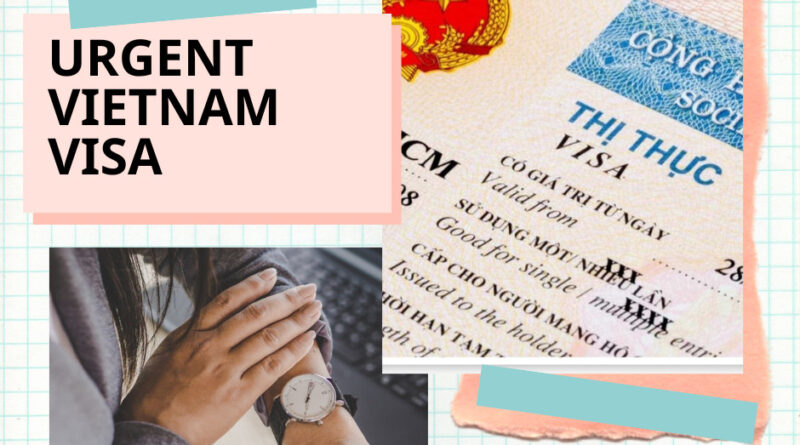 Urgent Vietnam Visa: Your Complete Guide to Fast-Track Processing Through the Vietnam Visa Official Site