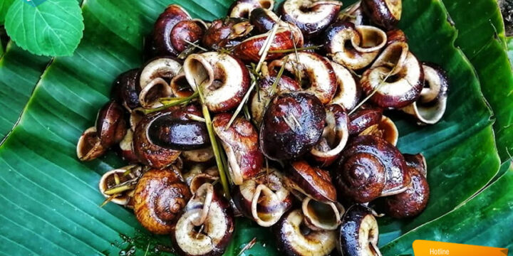 Gợi Ý Các Địa Điểm Kết Hợp Trong Hành Trình Du Lịch Tây Ninh 2 Ngày 1 Đêm