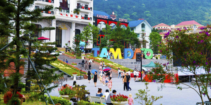 Bí Quyết Tổ Chức Team Building Hiệu Quả Khi Du Lịch Tam Đảo 2 Ngày 1 Đêm