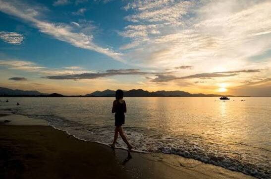 Gợi Ý Hành Trình Ninh Chữ 2 Ngày 1 Đêm Hấp Dẫn Được Yêu Thích 2026