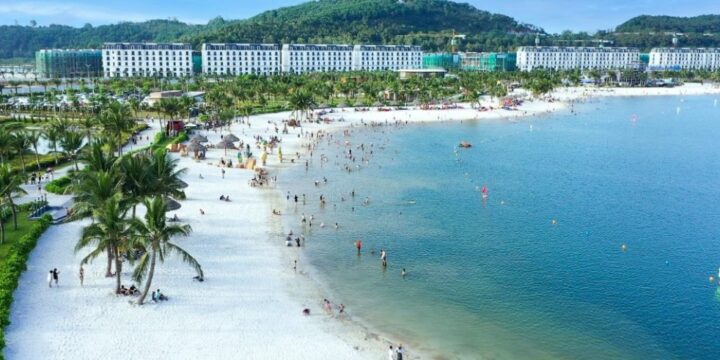 Top 5 Món Ăn Ngon Không Nên Bỏ Qua Khi Đến Du Lịch Đồ Sơn
