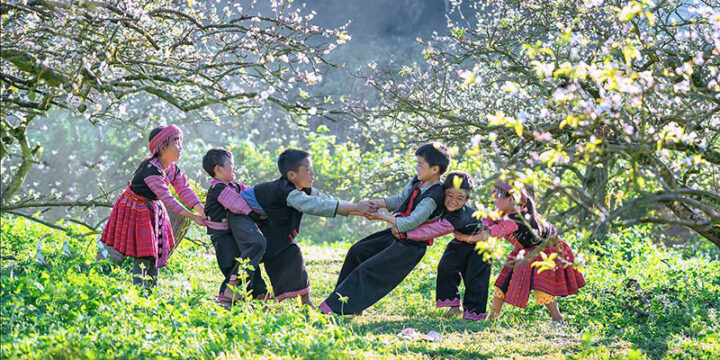 Cập Nhật Giá Tour Mộc Châu 3 Ngày 2 Đêm Mới Nhất